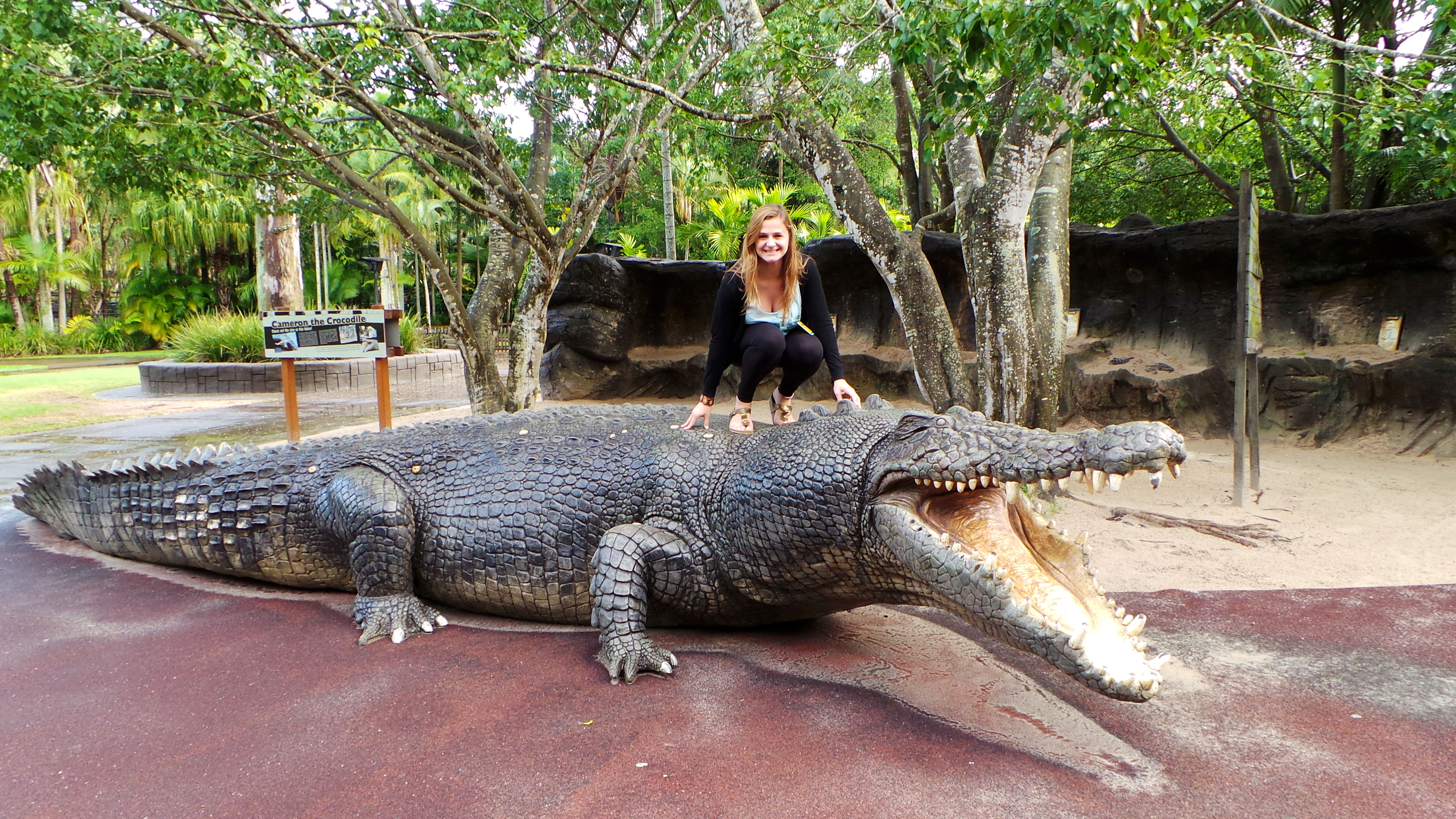 Самый большой аллигатор. Гребнистый крокодил. Гигантский гребнистый крокодил. Гребнистый крокодил Кассиус. Гребнистый крокодил Лолонг.
